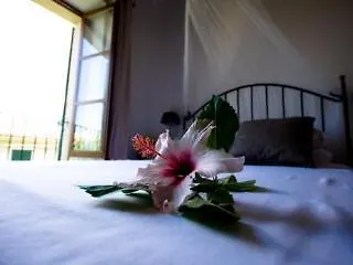 Hotel Casa Bougainvillea ソリェル 3*,